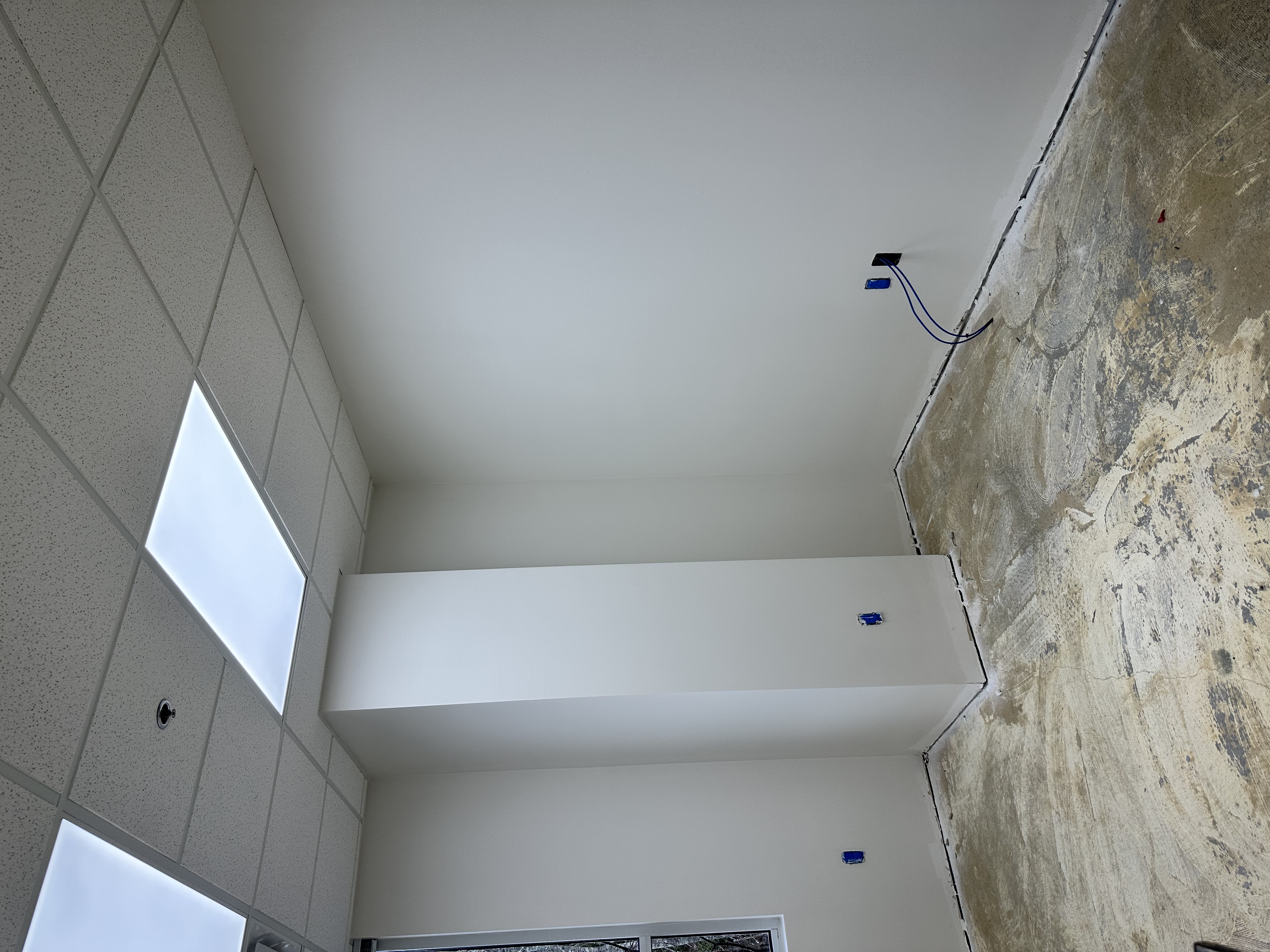Professional painting services
